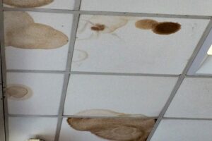 Brown Spots on Bathroom Ceiling: Causes, Hazards and Solutions
