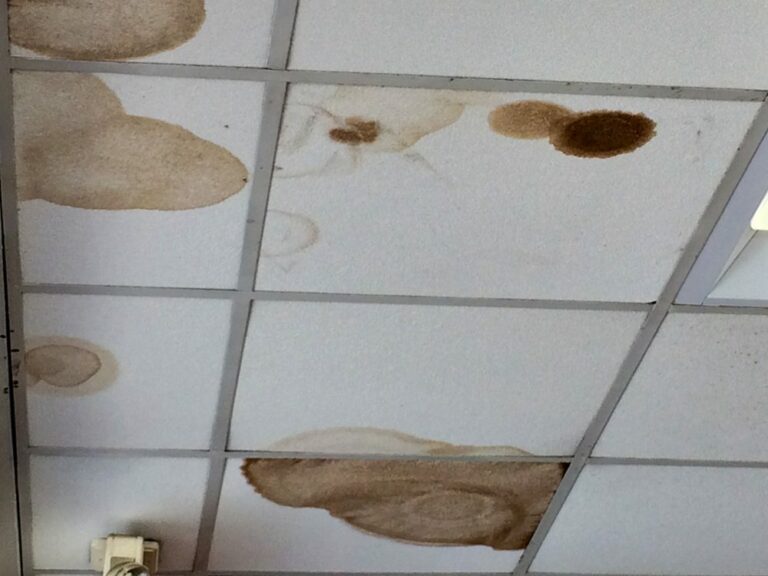 Brown Spots on Bathroom Ceiling