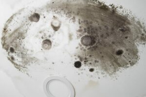 How to Remove Mold from Bathroom Ceiling? Causes & Solutions 