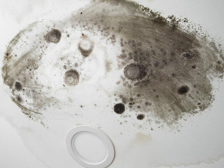 How to Remove Mold from Bathroom Ceiling