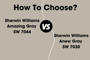 Amazing Gray vs Anew Gray: What’s the Difference?