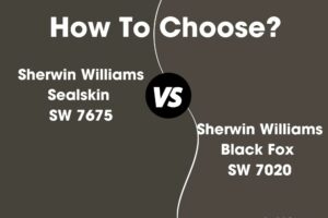 Sealskin vs Black Fox: What’s the Difference?