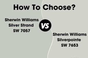 Silver Strand vs Silverpointe: What’s the Difference?