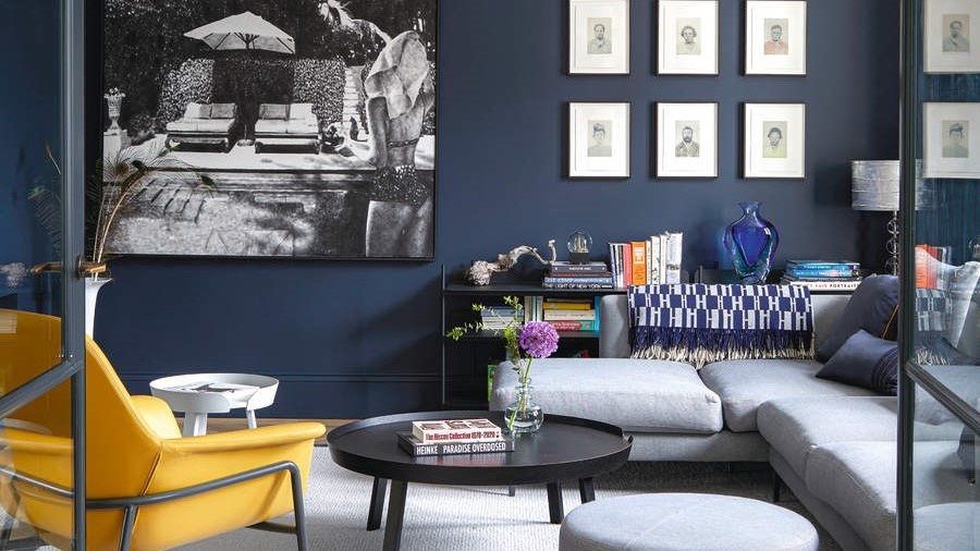 Navy Blue Living Rooms